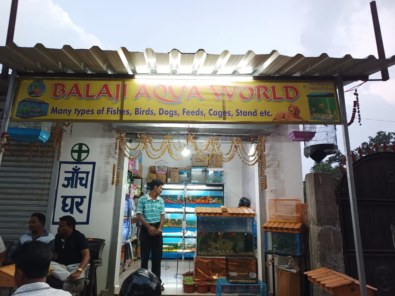 aquarium shop kathitand in ranchi 